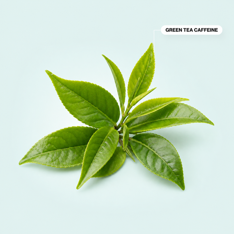 Green Tea Caffeine