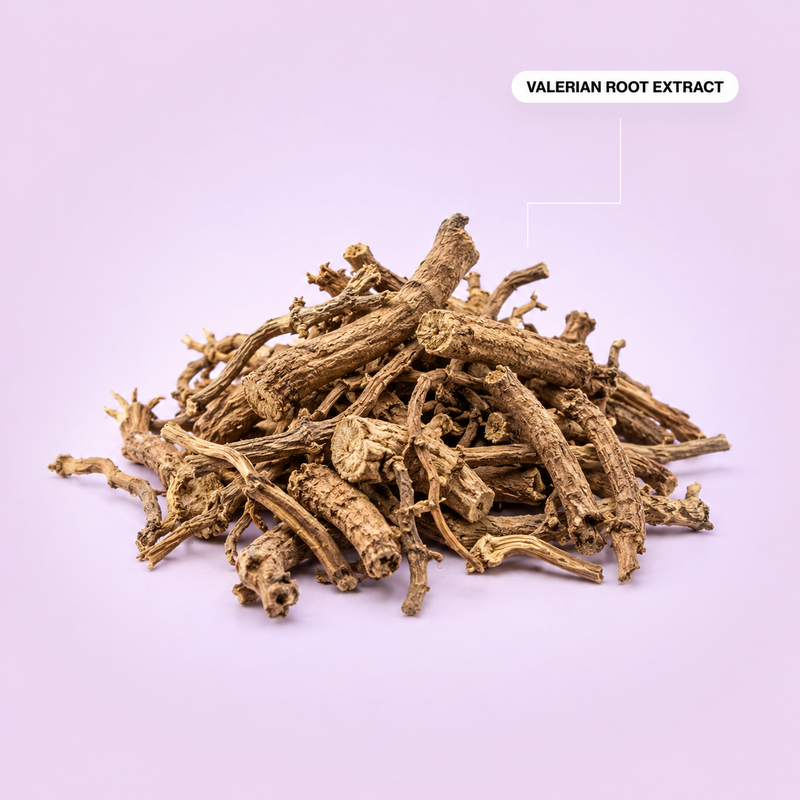 Valerian Root Extract