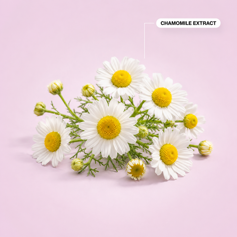 Chamomile Extract
