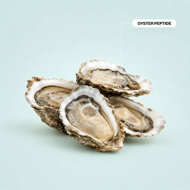 Oyster Peptide